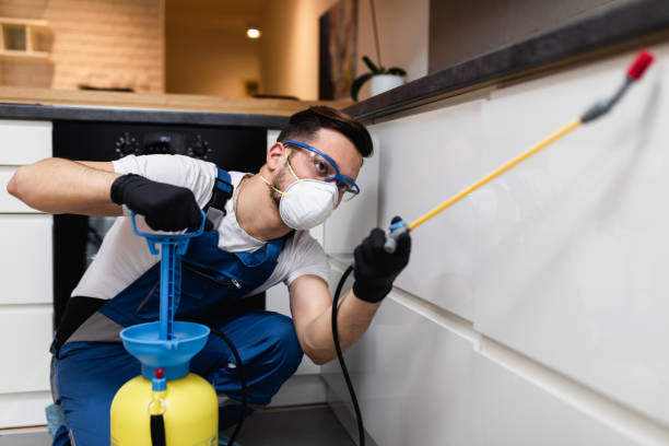 Pest Control Cost in Virginia, IL