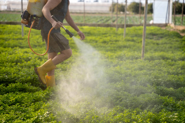 Best Best Pest Control Near Me  in Virginia, IL