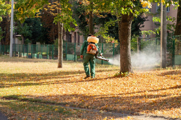 Best Insect Control  in Virginia, IL