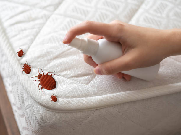 Pest Prevention Services in Virginia, IL